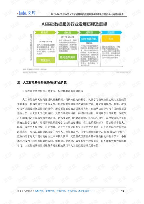 人工智能基础数据服务与行业应用系统集成 2021-2025年调研与竞争战略分析